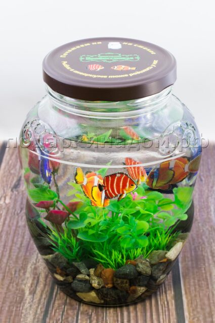 Декоративный аквариум с рыбками
